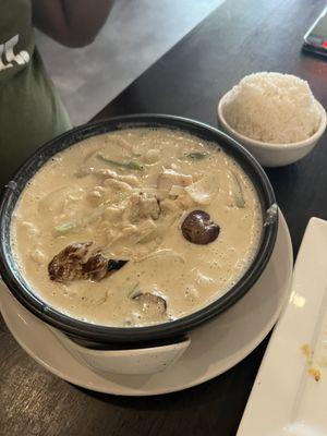 Green Curry and chicken #29