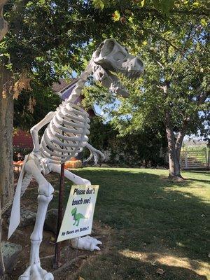 Cool dinosaur skeleton. They have a sign stating Do Not Touch. (So hard to resist though)