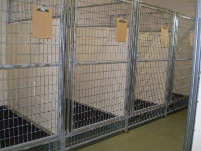 Kennel Area