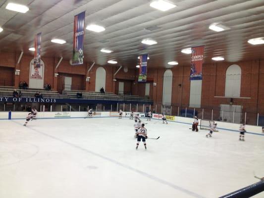 Best sport to watch live by far. Classic old arena makes it even better. Go Illini!