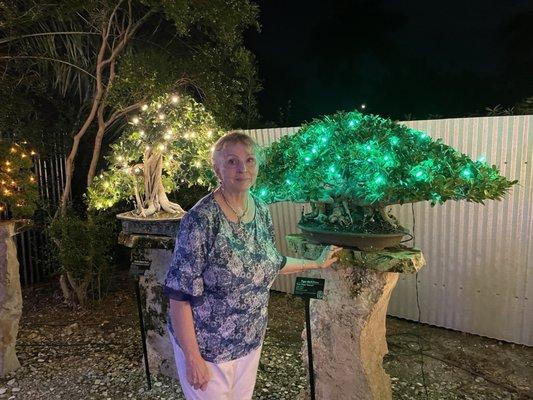 Bonsai garden Fort Pierce