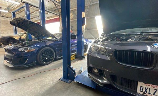 BMW and Mustang getting some work done