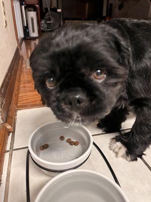 She chomped down all her food.