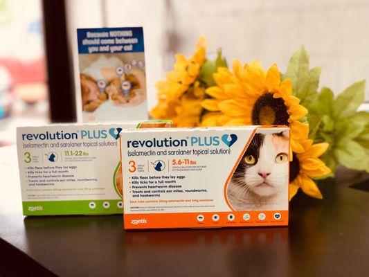 Revolution Plus for cats treats fleas, ticks, intestinal worms and heartworms!