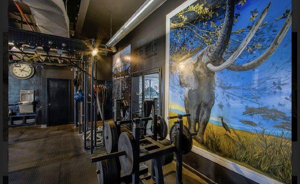 Body Chemistry Fitness Center