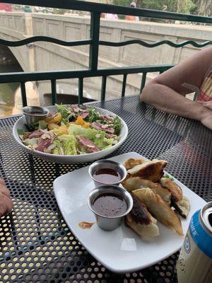 Dumplings and Ahi Salad