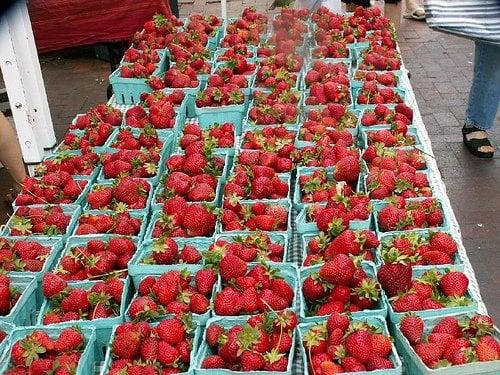 The last strawberries of Spring