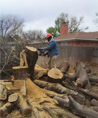 Stump removal in progress