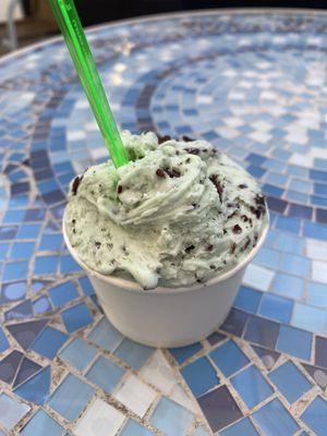 mint chocolate chip gelato