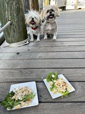 Happy guests about to eat grilled chicken!