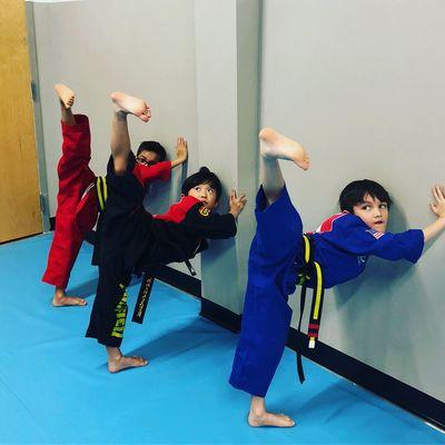 World Champion Taekwondo
 Kids class
 Strength and flexibility training