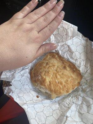 Biscuit as big as the palm of my hand