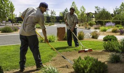 Lawn Mainenance