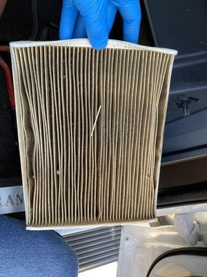 Cabin Air filter motorcraft, never changed, truck was at dealer for almost 2 years and supposedly passed their certification inspection.