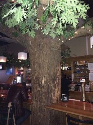 An old tree inside