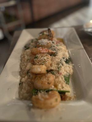 Shrimp Risotto / Scallop Risotto