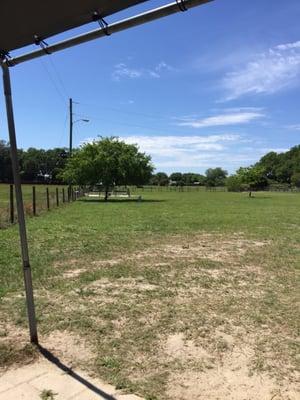 Dog fenced play field