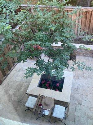 My backyard project using travertine tiles.