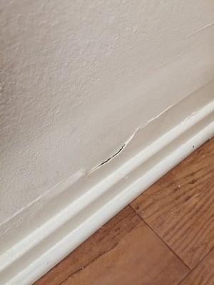 Crack in my wall that grew mold after the rain since they refused to repair it right away