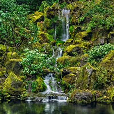 Jade Garden by Peter Lik