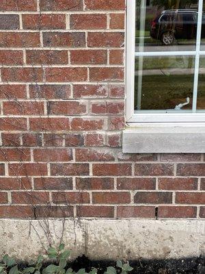 DelMar subcontractor installed smaller window then installed correct larger size