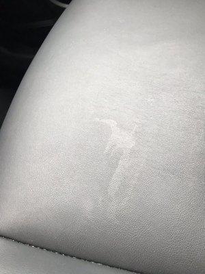 Spill/stain on the passenger seat