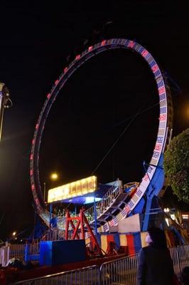 Temple City Camellia Festival 2014