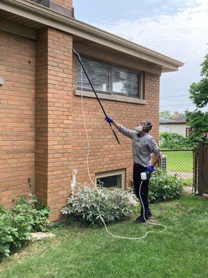 Dusting for paper wasps in eaves and crevices