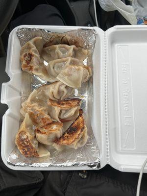 Bulgogi and ginger/celery dumplings,