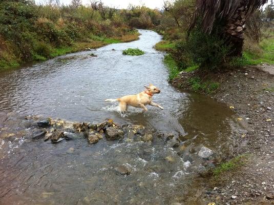 River is full !