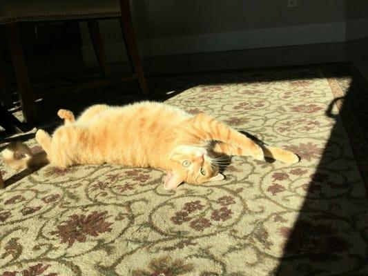 Sunbeams are exhausting;)