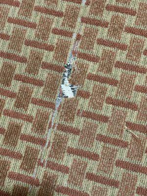 Holes in the carpet in our room