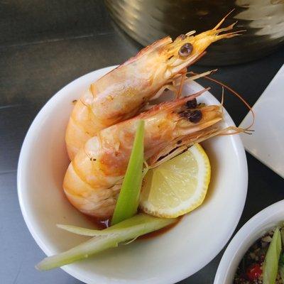 Shrimp Cocktail