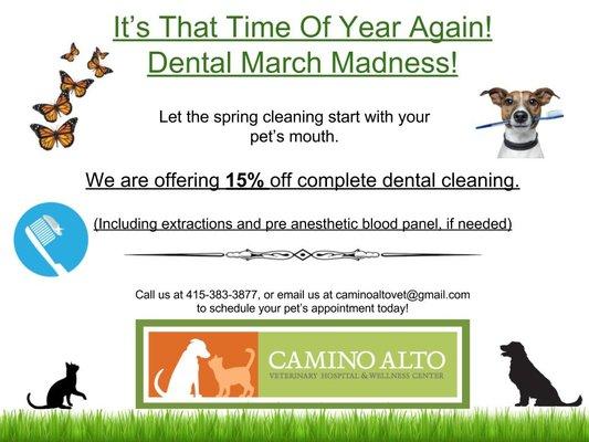 Yes folks it's that time of year again! Start your pets spring right with 15% off dental cleanings. Call us to make your appointment today.