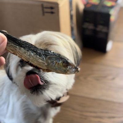 My pup really loves the dry sardines