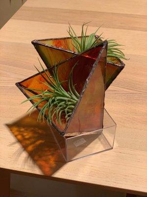 Stained glass terrariums by first time students