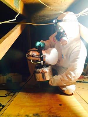 Omega's Rodent Control Specialists use industry leading technology to properly decontaminate your attic after a rat infestation.