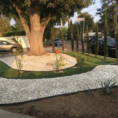 Luis Landscaping-poda de arboles