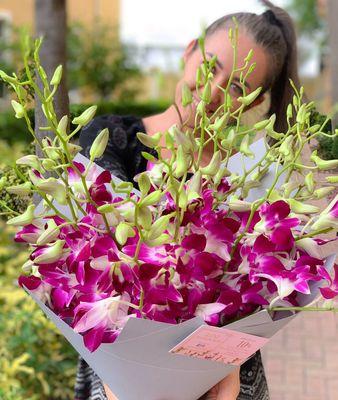 Dendrobium orchids