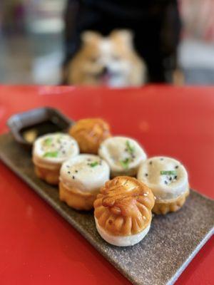 猪肉生煎包 Pan-fried Pork Bao aka SJB | 6 pc - $15.95