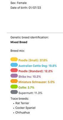 What the Embark DNA says she is