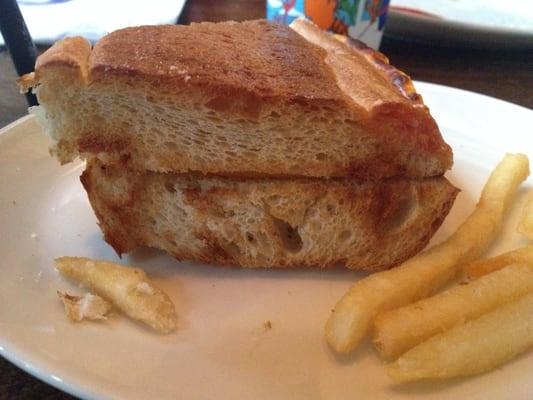 Child's Grilled Cheese - came with A LOT of fries