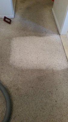 Carpet cleaning demo worst spot.