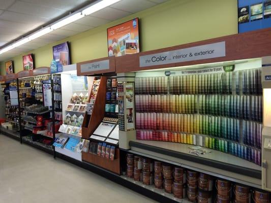 Nice assortment of paints and supplies