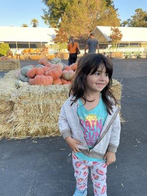 My daughter had so much fun looking at all the pumpkins