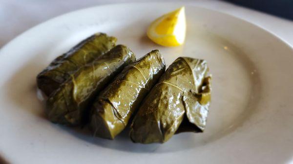 The stuff grape leaves appetizer was totally tasty.