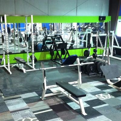 squat racks / bench press / hip sled