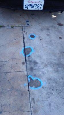 Coolant leakages circled w/blue chalk, found on home driveway.