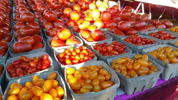 cherry tomatoes and roma tomatoes