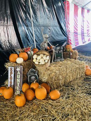 Skeleton and pumpkins